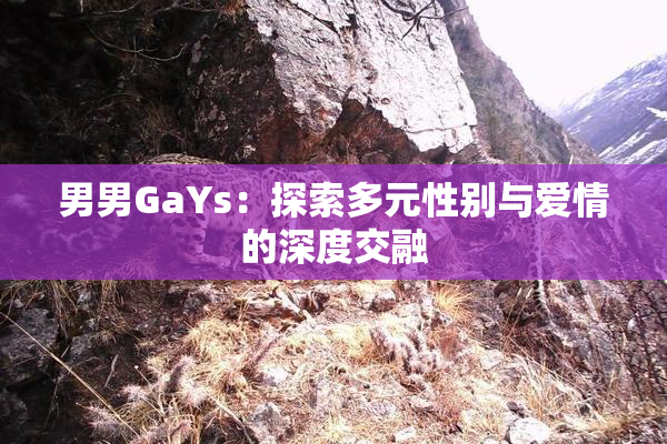 男男GaYs：探索多元性别与爱情的深度交融