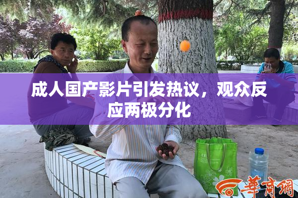 成人国产影片引发热议，观众反应两极分化
