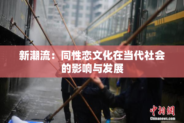 新潮流：同性恋文化在当代社会的影响与发展