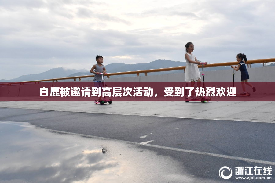 白鹿被邀请到高层次活动，受到了热烈欢迎
