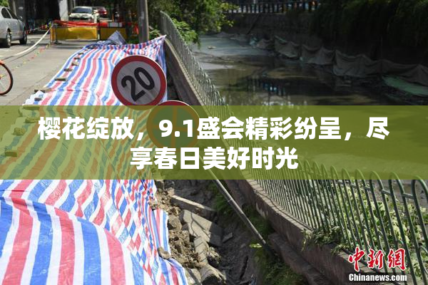 樱花绽放，9.1盛会精彩纷呈，尽享春日美好时光