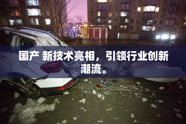 国产 新技术亮相，引领行业创新潮流。