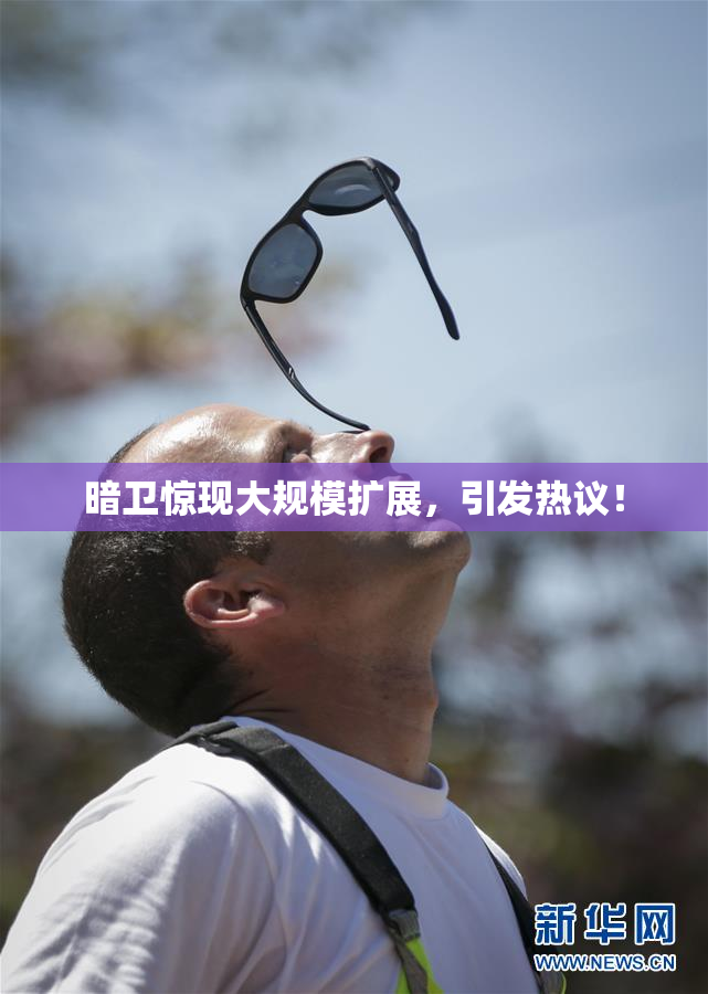 暗卫惊现大规模扩展，引发热议！