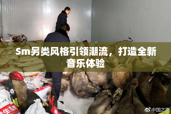Sm另类风格引领潮流，打造全新音乐体验
