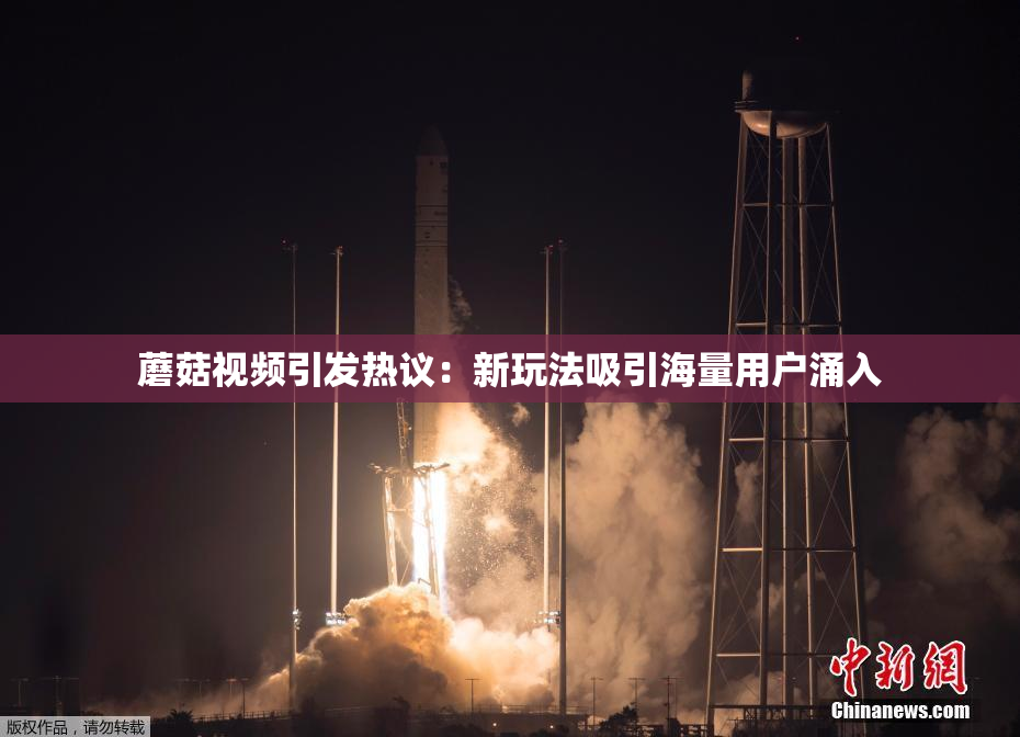 蘑菇视频引发热议：新玩法吸引海量用户涌入
