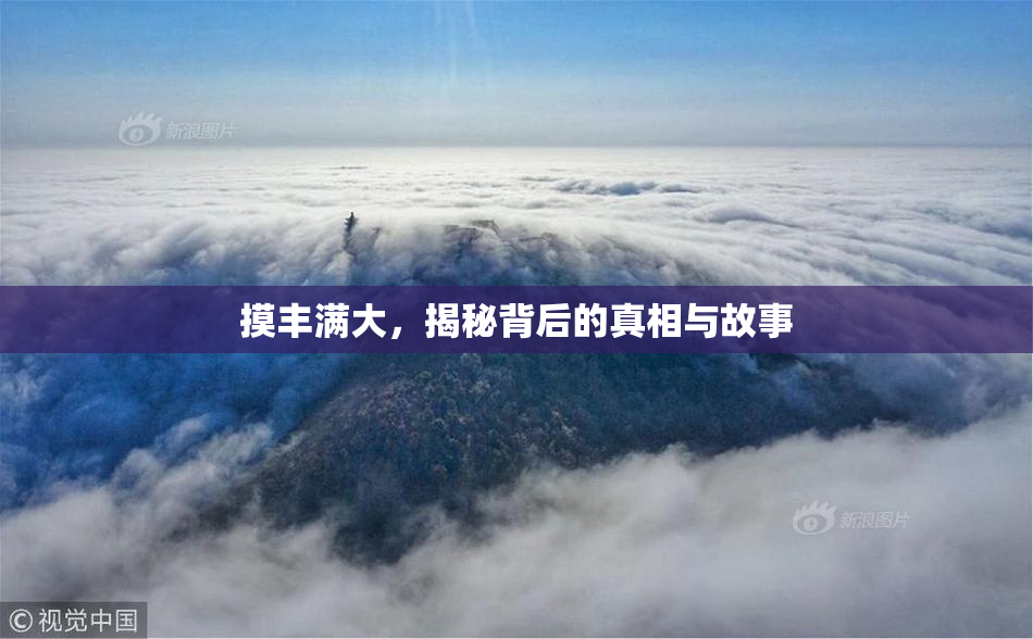 摸丰满大，揭秘背后的真相与故事