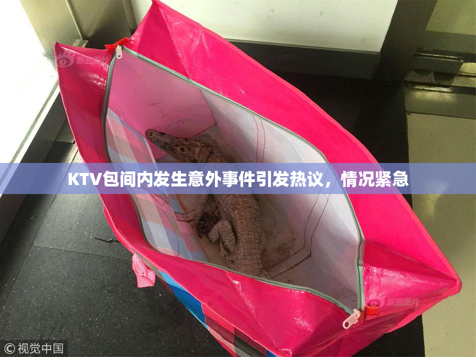 KTV包间内发生意外事件引发热议，情况紧急