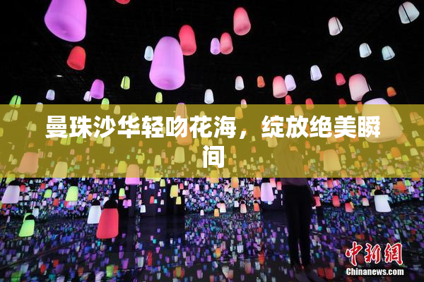 曼珠沙华轻吻花海，绽放绝美瞬间