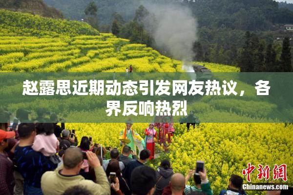 赵露思近期动态引发网友热议，各界反响热烈