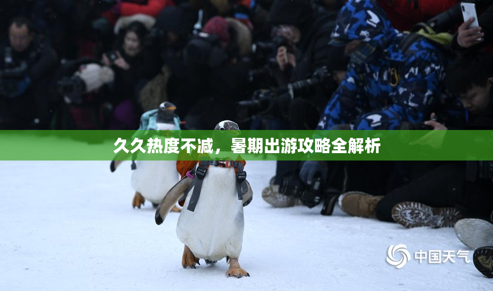 久久热度不减，暑期出游攻略全解析