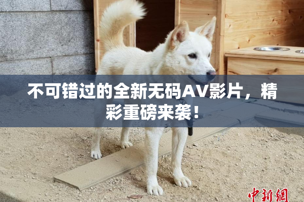 不可错过的全新无码AV影片，精彩重磅来袭！