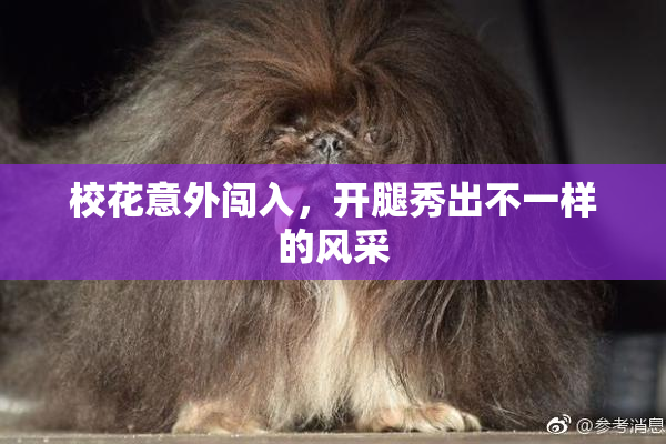 校花意外闯入，开腿秀出不一样的风采