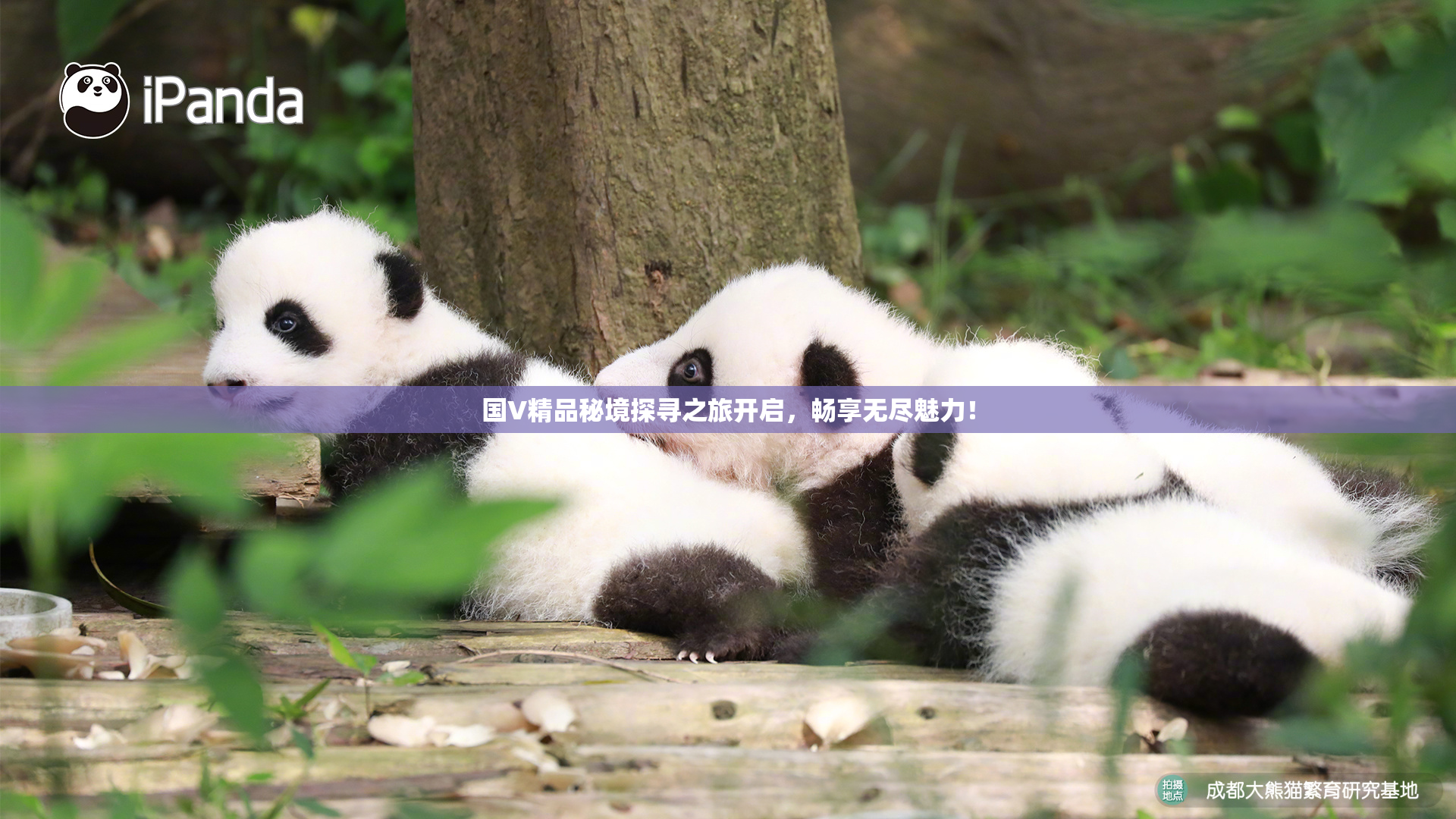 国V精品秘境探寻之旅开启，畅享无尽魅力！