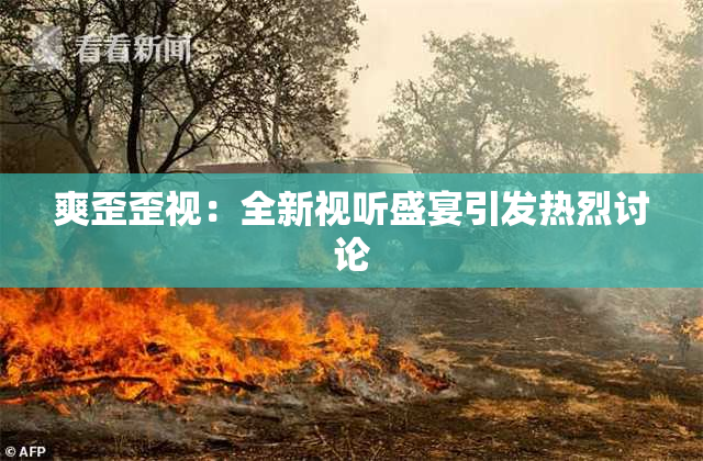 爽歪歪视：全新视听盛宴引发热烈讨论
