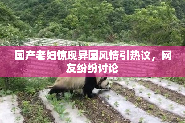 国产老妇惊现异国风情引热议，网友纷纷讨论