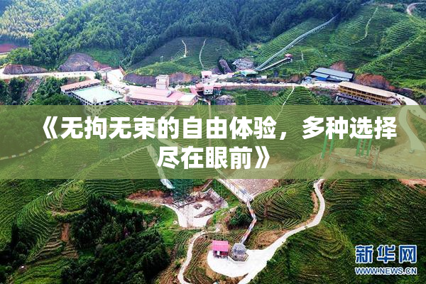《无拘无束的自由体验，多种选择尽在眼前》