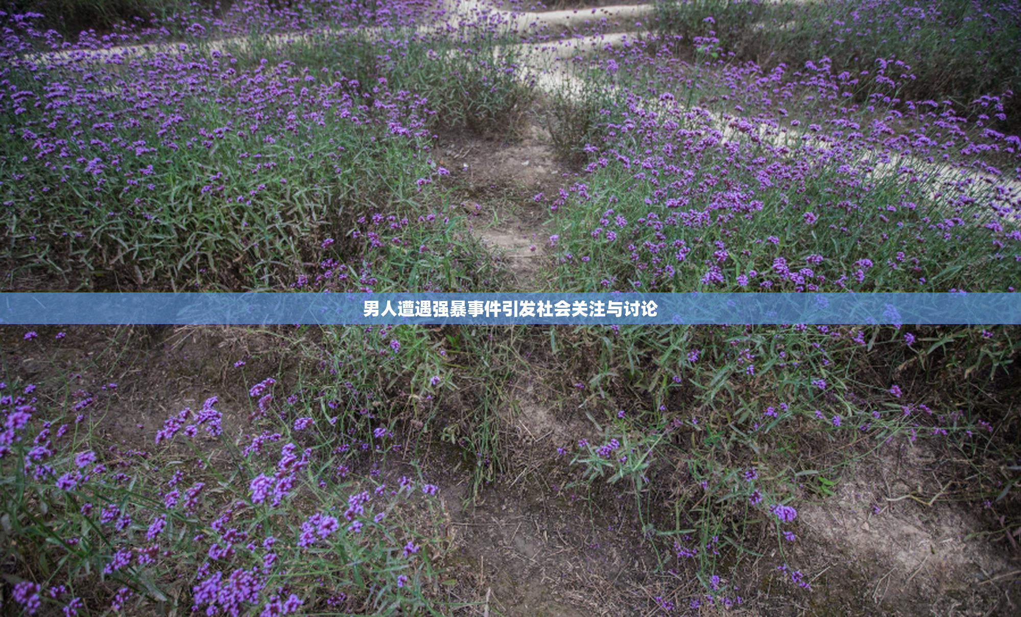 男人遭遇强暴事件引发社会关注与讨论