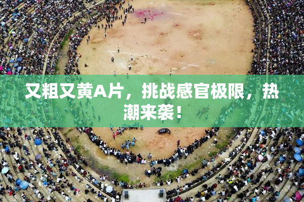 又粗又黄A片，挑战感官极限，热潮来袭！