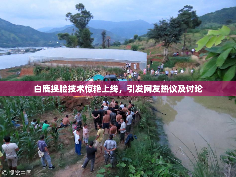 白鹿换脸技术惊艳上线，引发网友热议及讨论