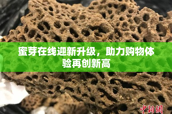 蜜芽在线迎新升级，助力购物体验再创新高