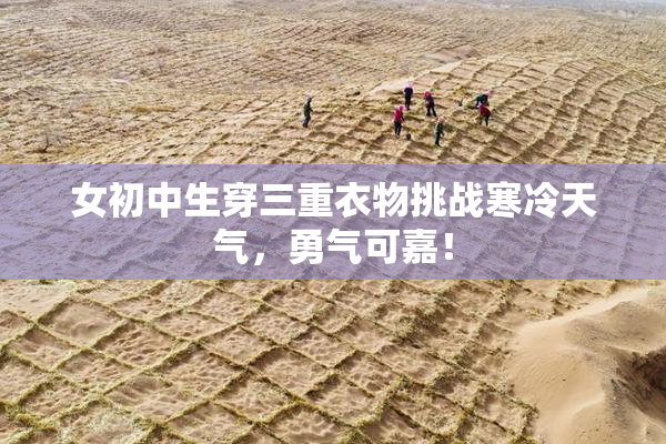 女初中生穿三重衣物挑战寒冷天气，勇气可嘉！