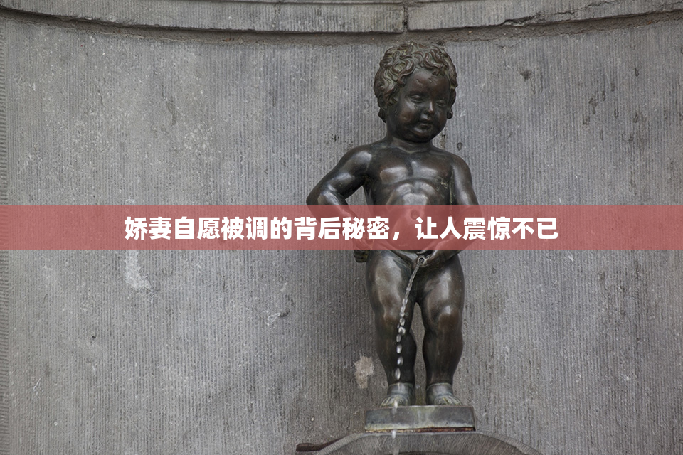 娇妻自愿被调的背后秘密，让人震惊不已