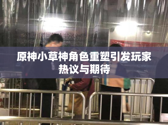 原神小草神角色重塑引发玩家热议与期待