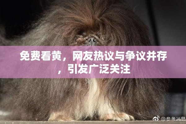 免费看黄，网友热议与争议并存，引发广泛关注