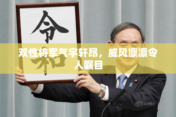 双性将军气宇轩昂，威风凛凛令人瞩目