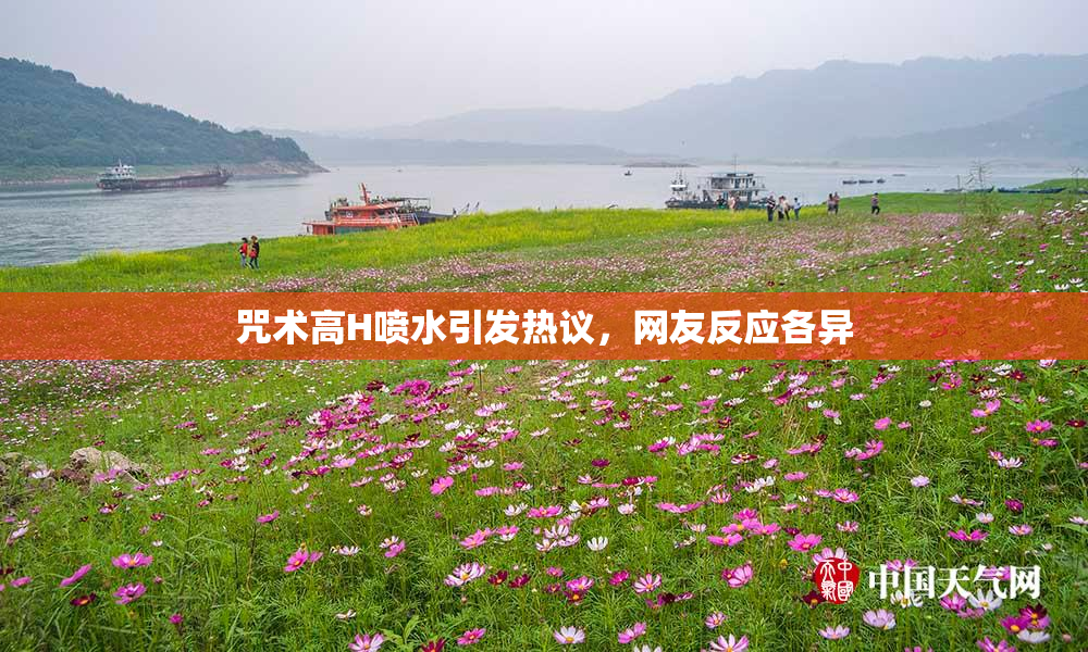 咒术高H喷水引发热议，网友反应各异