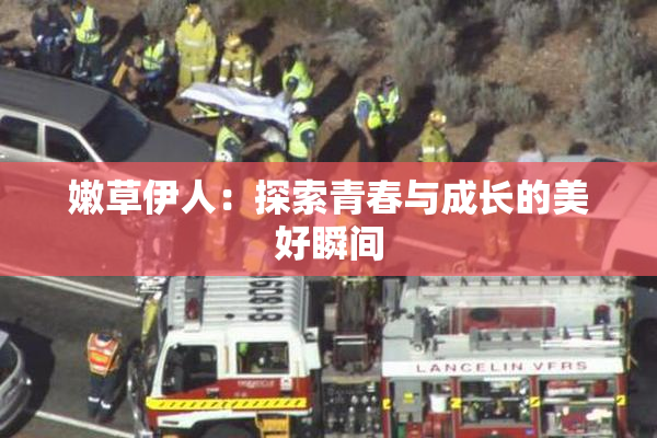 嫩草伊人：探索青春与成长的美好瞬间