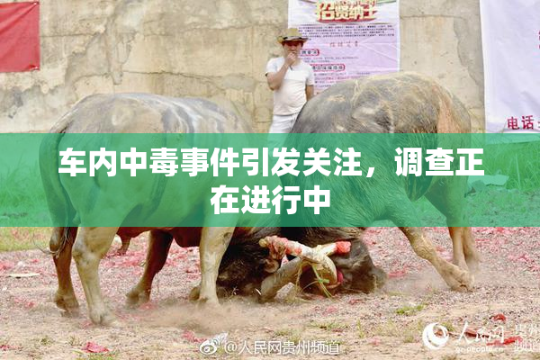 车内中毒事件引发关注，调查正在进行中