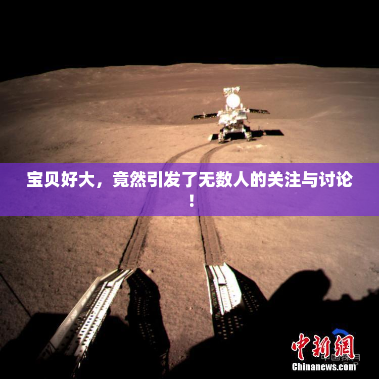 宝贝好大，竟然引发了无数人的关注与讨论！