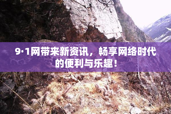 9·1网带来新资讯，畅享网络时代的便利与乐趣！