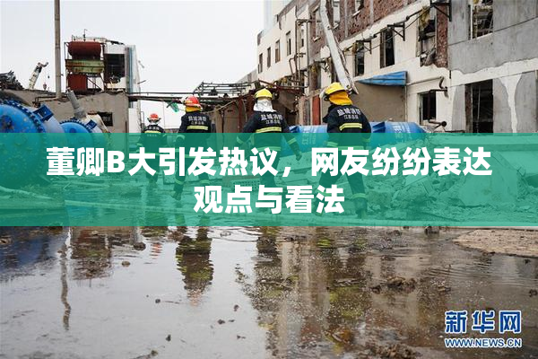 董卿B大引发热议，网友纷纷表达观点与看法