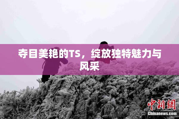 夺目美艳的TS，绽放独特魅力与风采