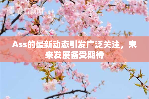 Ass的最新动态引发广泛关注，未来发展备受期待