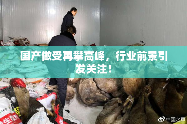 国产做受再攀高峰，行业前景引发关注！