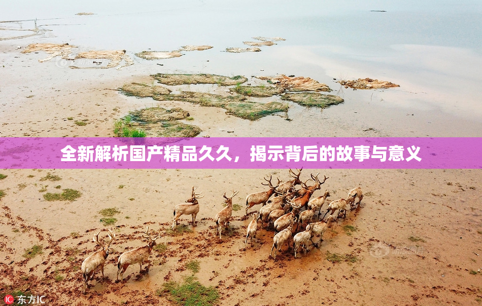 全新解析国产精品久久，揭示背后的故事与意义