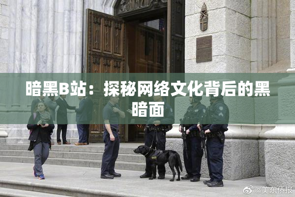 暗黑B站：探秘网络文化背后的黑暗面