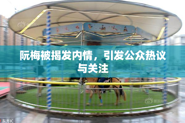 阮梅被揭发内情，引发公众热议与关注