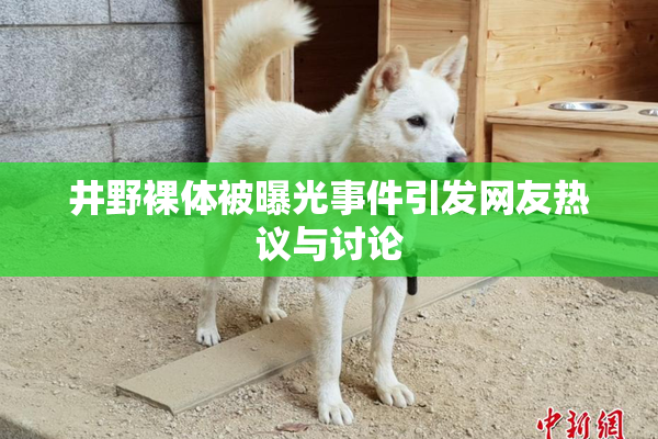 井野裸体被曝光事件引发网友热议与讨论