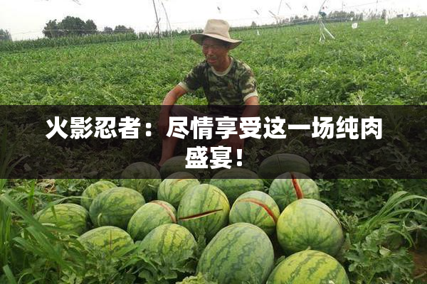 火影忍者：尽情享受这一场纯肉盛宴！