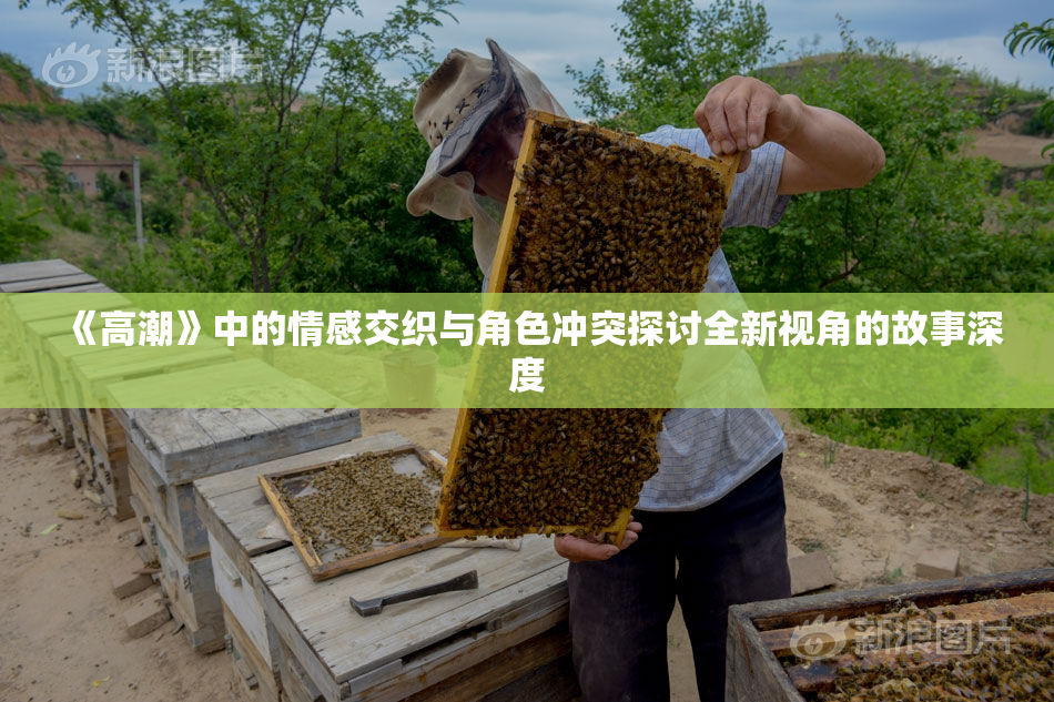 《高潮》中的情感交织与角色冲突探讨全新视角的故事深度