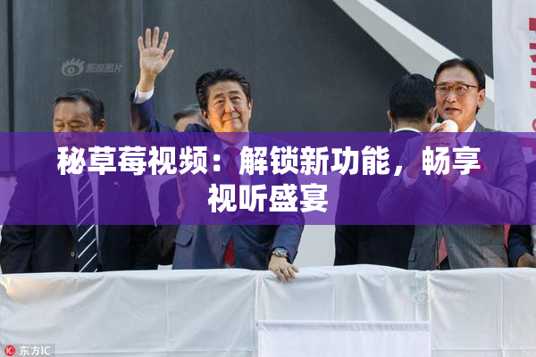 秘草莓视频：解锁新功能，畅享视听盛宴