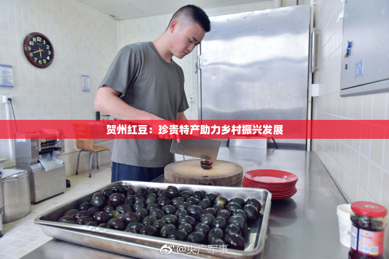贺州红豆：珍贵特产助力乡村振兴发展