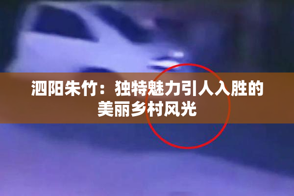 泗阳朱竹：独特魅力引人入胜的美丽乡村风光