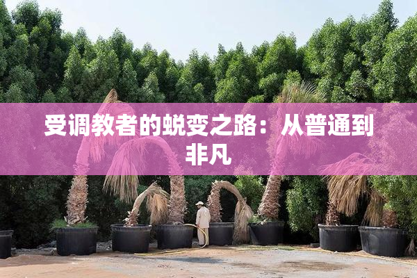 受调教者的蜕变之路：从普通到非凡