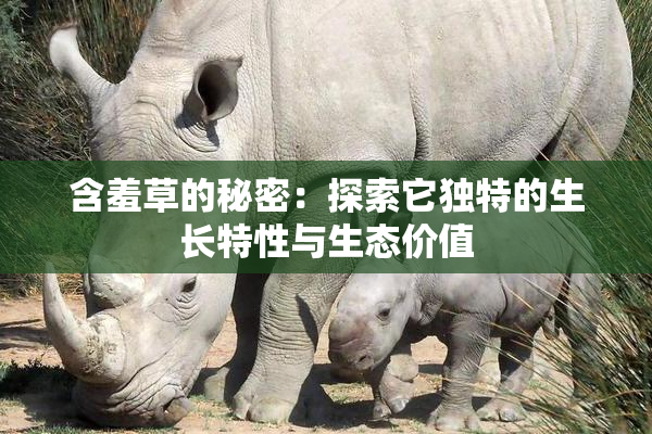 含羞草的秘密：探索它独特的生长特性与生态价值