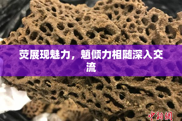 荧展现魅力，魈倾力相随深入交流
